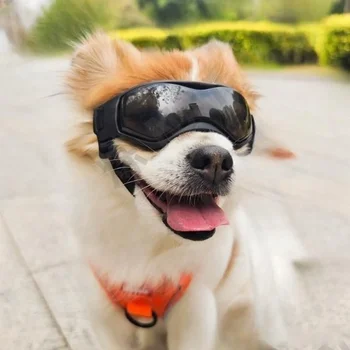 Защитные очки для собак, солнцезащитные очки для кошек, солнцезащитные очки с защитой от ультрафиолета, Классные очки для маленьких собак, аксессуары для щенков для верховой езды
